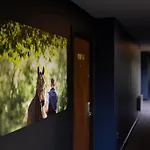 Voco The Club - Dublin Gateway By Ihg 호텔 4*