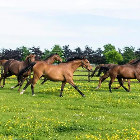 Voco The Club - Dublin Gateway By Ihg