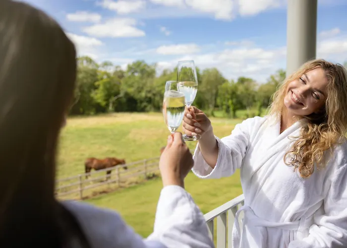 Отель Voco The Club - Dublin Gateway By Ihg Нейс