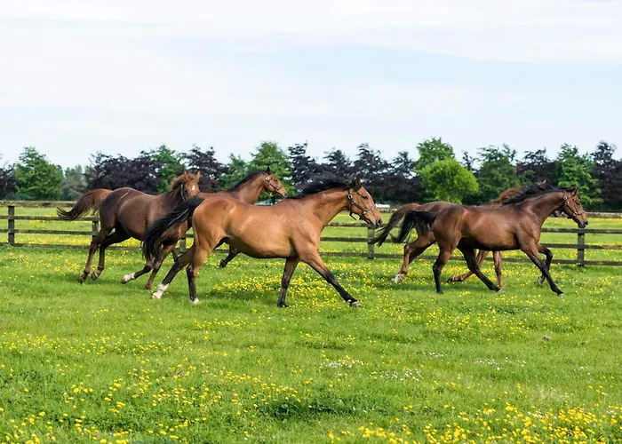 Voco The Club - Dublin Gateway By Ihg